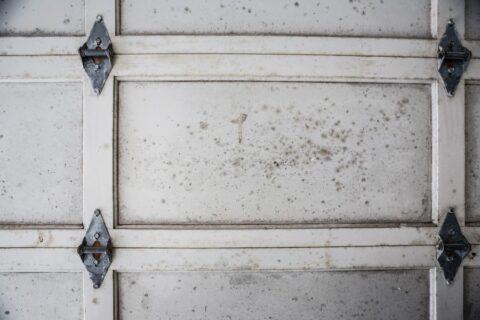 Garage Moisture Control Tips to Prevent Mold