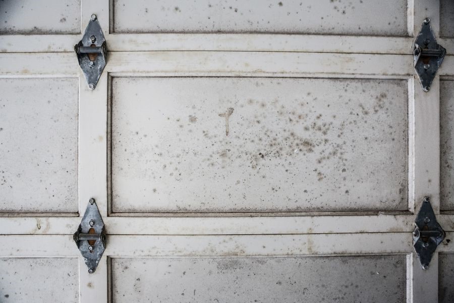 Garage Moisture Control Tips to Prevent Mold